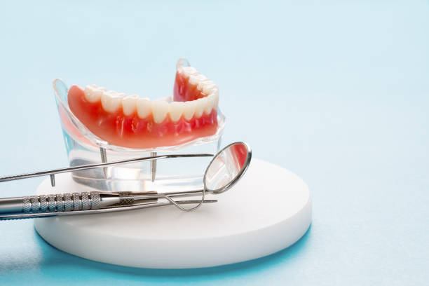 Best Traditional Braces  in Kathleen, FL